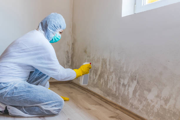 Licensed Commercial Mold Remediation service in Fredericksburg, PA - WQB Mold Removal