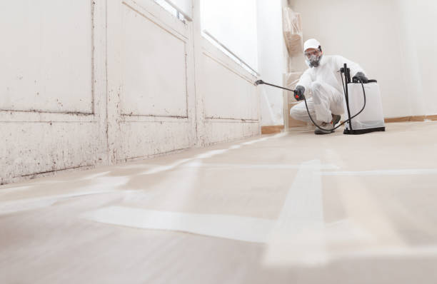 24/7 Emergency Commercial Mold Remediation experts in Fredericksburg, PA