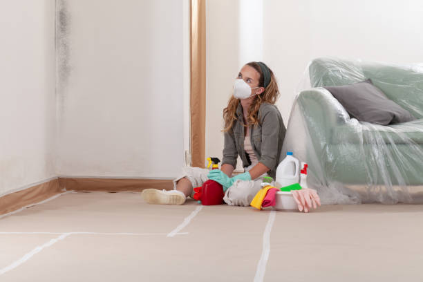 Reliable Commercial Mold Remediation contractor in Fredericksburg, PA by WQB Mold Removal