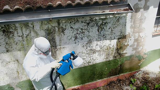 Top rated local Commercial Mold Remediation specialists in Fredericksburg, PA
